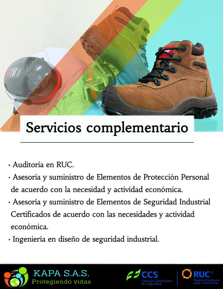 Servicios de Auditorias en RUC